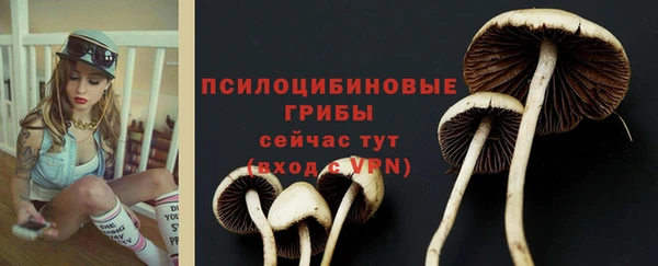 гашишное масло Козельск