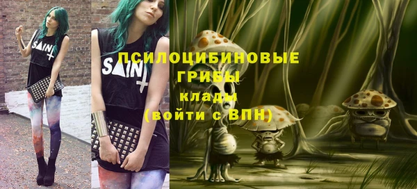 гидропоника Кодинск