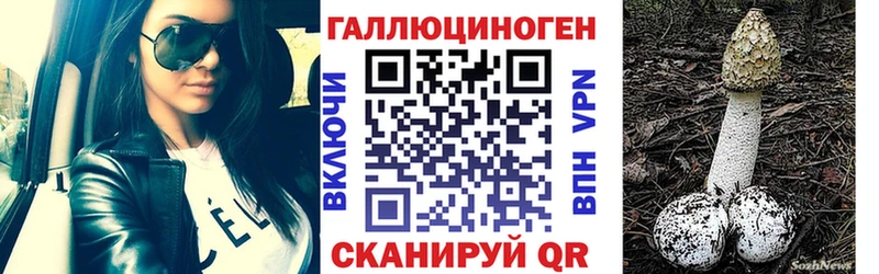 Галлюциногенные грибы мицелий Новороссийск