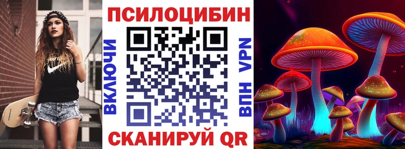 как найти закладки  Новороссийск  Галлюциногенные грибы MAGIC MUSHROOMS 